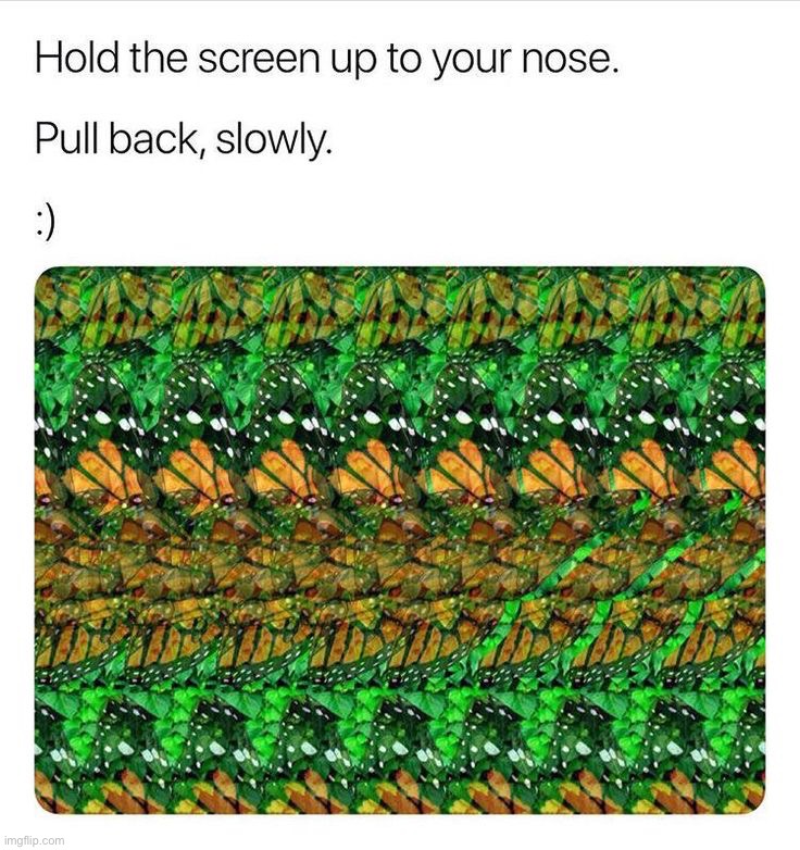 Illusion 100 ✨✨ | image tagged in memes,funny | made w/ Imgflip meme maker