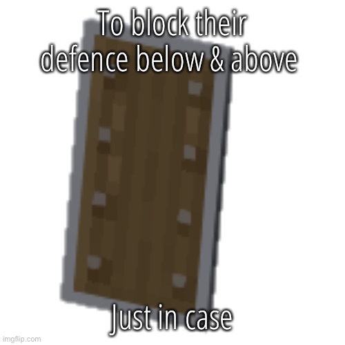 Minecraft sheild | To block their defence below & above; Just in case | image tagged in minecraft sheild | made w/ Imgflip meme maker