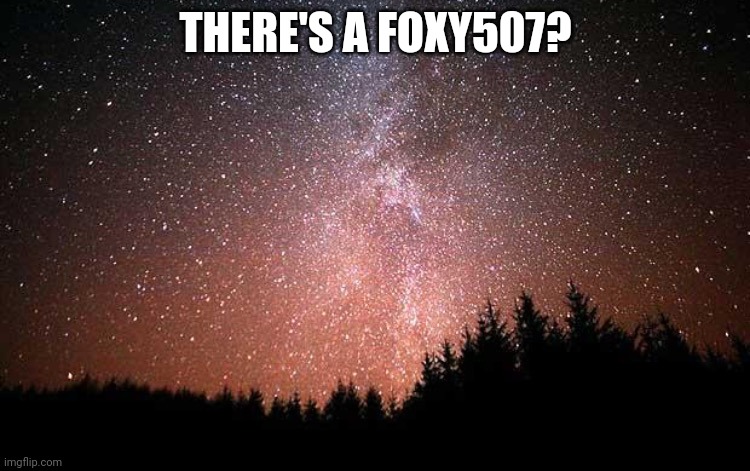 Confusing moments | THERE'S A FOXY507? | image tagged in night sky | made w/ Imgflip meme maker