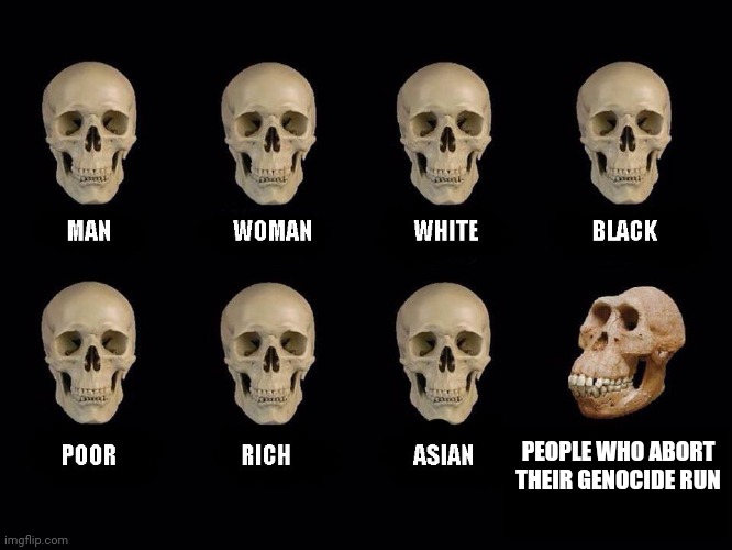 (clever title here) | PEOPLE WHO ABORT THEIR GENOCIDE RUN | image tagged in empty skulls of truth,memes,undertale,genocide | made w/ Imgflip meme maker