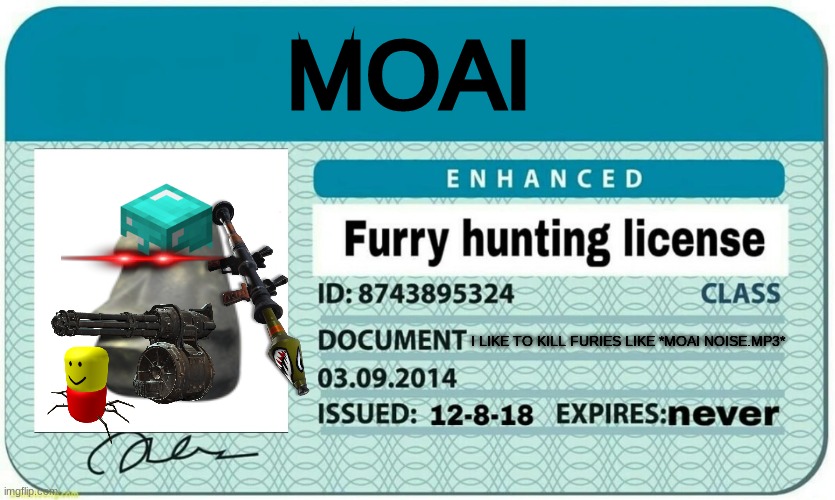 furry hunting license | MOAI; I LIKE TO KILL FURIES LIKE *MOAI NOISE.MP3* | image tagged in furry hunting license | made w/ Imgflip meme maker