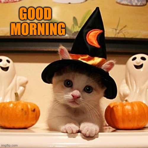 Cute halloween Kitten | GOOD
  MORNING | image tagged in cute halloween kitten | made w/ Imgflip meme maker