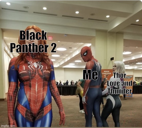 Spider-Man check out | Black Panther 2; Me; Thor Love and Thunder | image tagged in spider-man check out,marvel cinematic universe,marvel | made w/ Imgflip meme maker