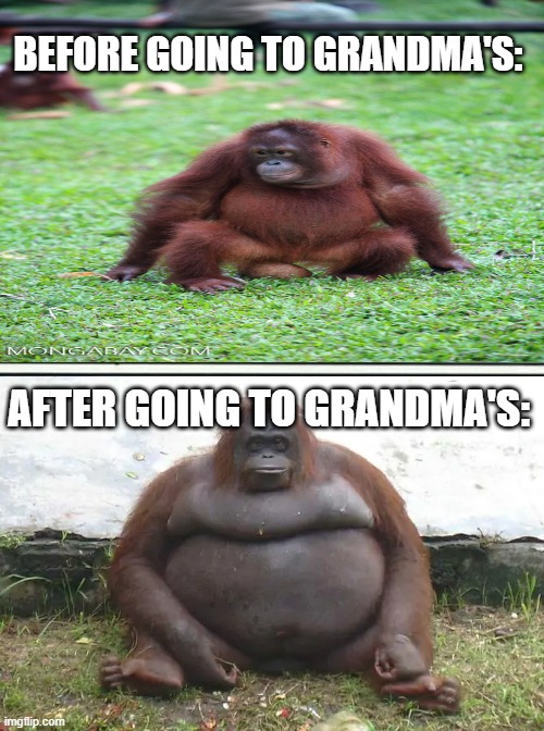 Monke Meme