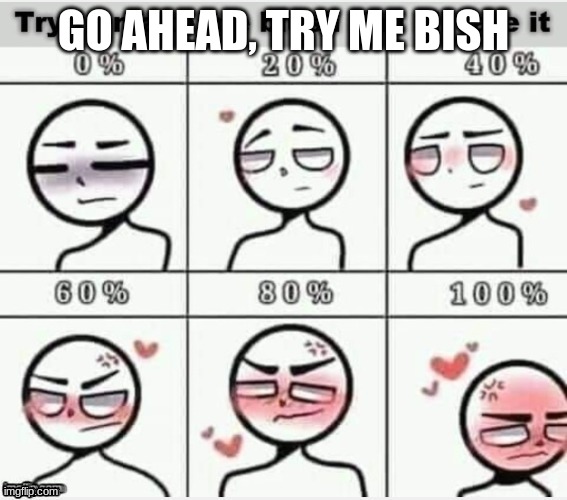 Try To Make Me Blush | GO AHEAD, TRY ME BISH | image tagged in try to make me blush | made w/ Imgflip meme maker