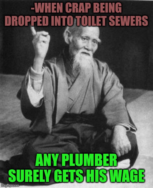 -Fallen dollar. | -WHEN CRAP BEING DROPPED INTO TOILET SEWERS; ANY PLUMBER SURELY GETS HIS WAGE | image tagged in aikido master,plumber,crappy memes,money man,sewer,toilet humor | made w/ Imgflip meme maker