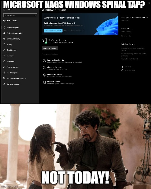 Do you really want this OS? | MICROSOFT NAGS WINDOWS SPINAL TAP? NOT TODAY! | image tagged in not today,windows 11,spinal tap | made w/ Imgflip meme maker