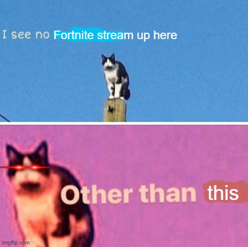 Hail pole cat | Fortnite stream up here; this | image tagged in hail pole cat | made w/ Imgflip meme maker