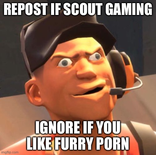 le tf2 meme | REPOST IF SCOUT GAMING; IGNORE IF YOU LIKE FURRY PORN | image tagged in tf2 scout | made w/ Imgflip meme maker