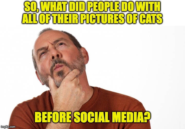 Cats, cats, and more cats! | SO, WHAT DID PEOPLE DO WITH ALL OF THEIR PICTURES OF CATS; BEFORE SOCIAL MEDIA? | image tagged in hmmm | made w/ Imgflip meme maker