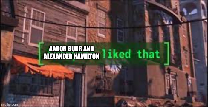 Everyone Liked That | AARON BURR AND ALEXANDER HAMILTON | image tagged in everyone liked that | made w/ Imgflip meme maker