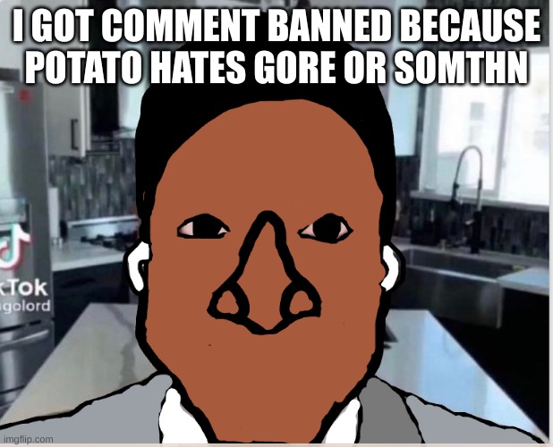 n | I GOT COMMENT BANNED BECAUSE POTATO HATES GORE OR SOMTHN | image tagged in n | made w/ Imgflip meme maker