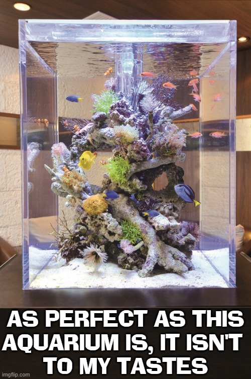 To make the perfect aquarium, you must make it to your tastes |  AS PERFECT AS THIS
AQUARIUM IS, IT ISN'T 
TO MY TASTES | image tagged in vince vance,aquarium,fish tank,perfection,memes,bland | made w/ Imgflip meme maker