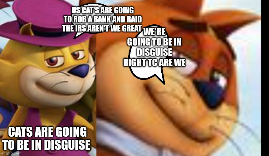 Top cats evil plans | US CAT'S ARE GOING TO ROB A BANK AND RAID THE IRS AREN'T WE GREAT; WE'RE GOING TO BE IN DISGUISE RIGHT TC ARE WE; CATS ARE GOING TO BE IN DISGUISE | image tagged in funny memes | made w/ Imgflip meme maker