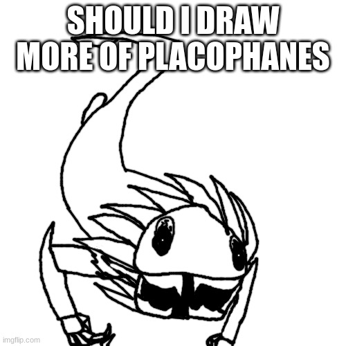 also hi chat | SHOULD I DRAW MORE OF PLACOPHANES | made w/ Imgflip meme maker