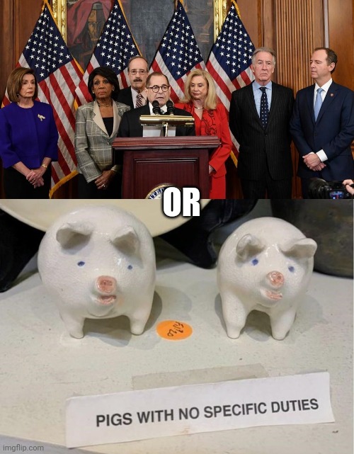 Who would win ? |  OR | image tagged in house democrats,pigs fly,politicians suck,congress,waste of time,waste of money | made w/ Imgflip meme maker