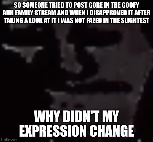 the photo was a woman after blowing her head off with a shotgun | SO SOMEONE TRIED TO POST GORE IN THE GOOFY AHH FAMILY STREAM AND WHEN I DISAPPROVED IT AFTER TAKING A LOOK AT IT I WAS NOT FAZED IN THE SLIGHTEST; WHY DIDN'T MY EXPRESSION CHANGE | made w/ Imgflip meme maker