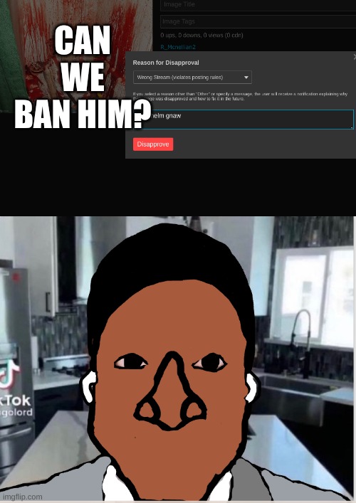 @Captan_Scar | CAN WE BAN HIM? | image tagged in n | made w/ Imgflip meme maker