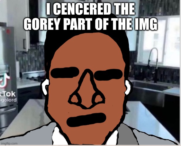 n | I CENCERED THE GOREY PART OF THE IMG | image tagged in n | made w/ Imgflip meme maker