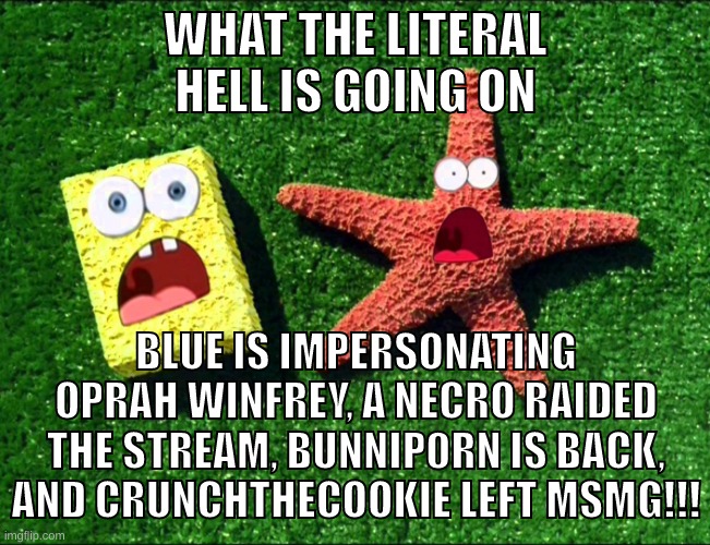WE'RE ALL GONNA DIEEEEEEEE | WHAT THE LITERAL HELL IS GOING ON; BLUE IS IMPERSONATING OPRAH WINFREY, A NECRO RAIDED THE STREAM, BUNNIP0RN IS BACK, AND CRUNCHTHECOOKIE LEFT MSMG!!! | image tagged in memes,funny,sponge and star,msmg,drama,oh god | made w/ Imgflip meme maker