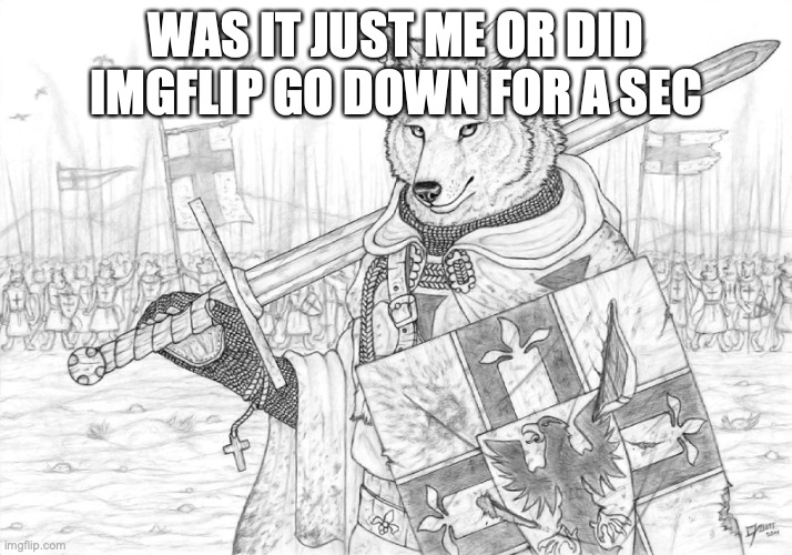 Fursader. | WAS IT JUST ME OR DID IMGFLIP GO DOWN FOR A SEC | image tagged in fursader | made w/ Imgflip meme maker