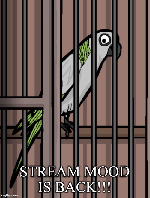 Bird on crack | STREAM MOOD IS BACK!!! | image tagged in bird on crack | made w/ Imgflip meme maker