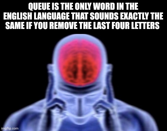 brain damage | QUEUE IS THE ONLY WORD IN THE ENGLISH LANGUAGE THAT SOUNDS EXACTLY THE SAME IF YOU REMOVE THE LAST FOUR LETTERS | image tagged in brain damage | made w/ Imgflip meme maker