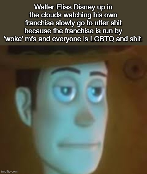 Feel bad for the man ngl | Walter Elias Disney up in the clouds watching his own franchise slowly go to utter shit because the franchise is run by 'woke' mfs and everyone is LGBTQ and shit: | image tagged in disappointed woody | made w/ Imgflip meme maker