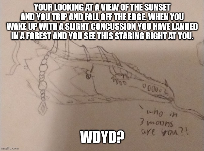 Forest fall | YOUR LOOKING AT A VIEW OF THE SUNSET AND YOU TRIP AND FALL OFF THE EDGE. WHEN YOU WAKE UP WITH A SLIGHT CONCUSSION YOU HAVE LANDED IN A FOREST AND YOU SEE THIS STARING RIGHT AT YOU. WDYD? | image tagged in roleplaying | made w/ Imgflip meme maker