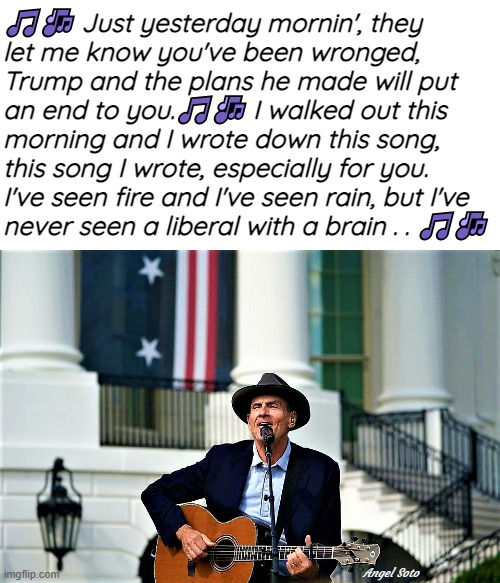 James Taylor sings for Biden at the White House | 🎵🎶 Just yesterday mornin', they
let me know you've been wronged,
Trump and the plans he made will put 
an end to you.🎵🎶 I walked out this
morning and I wrote down this song,
this song I wrote, especially for you.
I've seen fire and I've seen rain, but I've 
never seen a liberal with a brain . . 🎵🎶; Angel Soto | image tagged in political humor,joe biden,trump,liberals,song lyrics,fire and rain | made w/ Imgflip meme maker