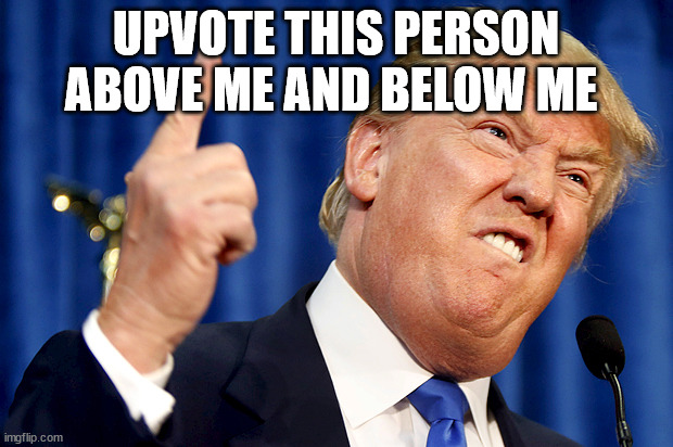 Donald Trump | UPVOTE THIS PERSON ABOVE ME AND BELOW ME | image tagged in donald trump | made w/ Imgflip meme maker