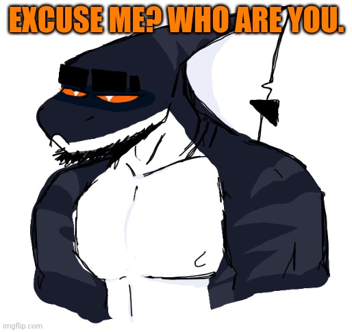 EXCUSE ME? WHO ARE YOU. | made w/ Imgflip meme maker