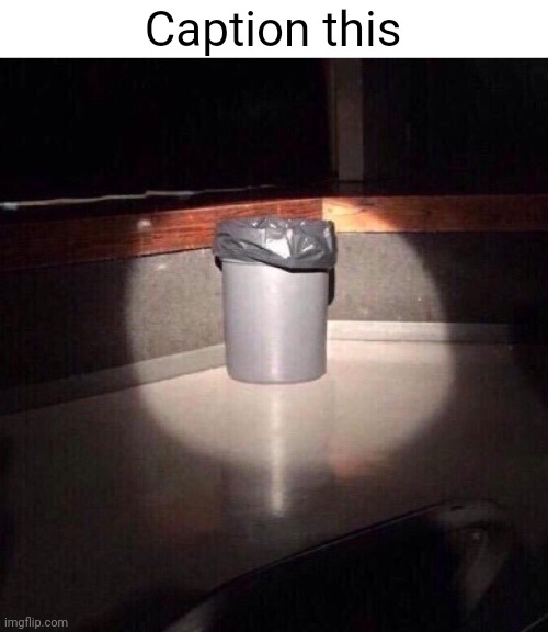 Trash Can Spotlight | Caption this | image tagged in trash can spotlight | made w/ Imgflip meme maker