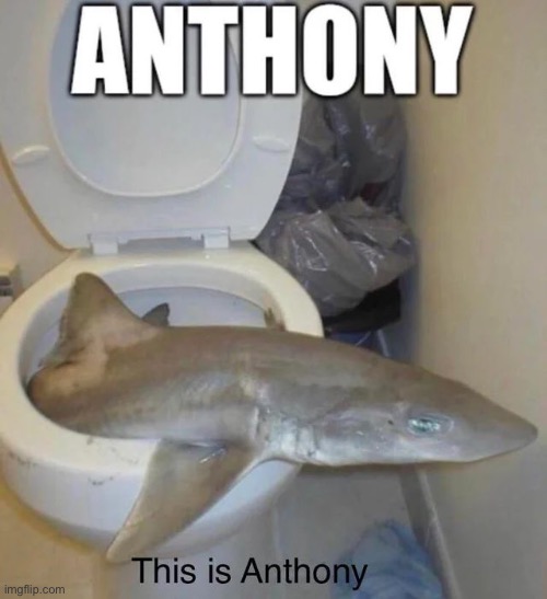 image tagged in anthony | made w/ Imgflip meme maker