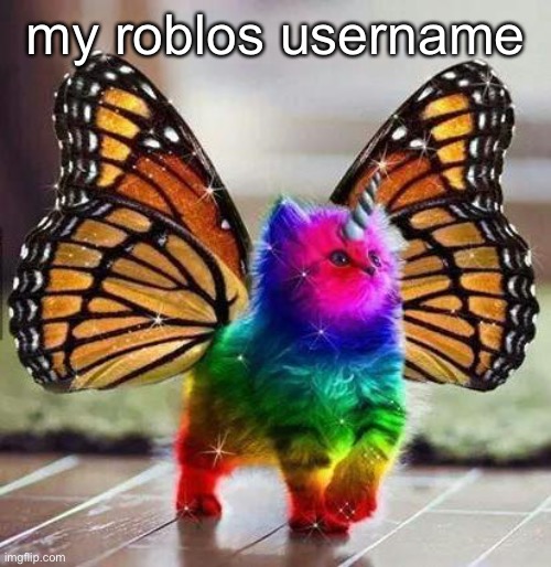 real (My bio for context) | my roblos username | image tagged in rainbow unicorn butterfly kitten | made w/ Imgflip meme maker