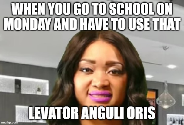 Levator Anguli Oris | WHEN YOU GO TO SCHOOL ON MONDAY AND HAVE TO USE THAT; LEVATOR ANGULI ORIS | image tagged in fake smile | made w/ Imgflip meme maker