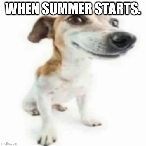 Beer Keg and Dog | WHEN SUMMER STARTS. | image tagged in beer keg and dog,silliness containment unit | made w/ Imgflip meme maker