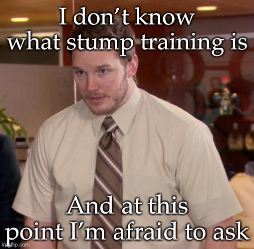 I don't know what x is and I'm afraid to ask | I don’t know what stump training is And at this point I’m afraid to ask | image tagged in i don't know what x is and i'm afraid to ask | made w/ Imgflip meme maker