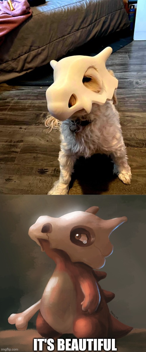 3D PRINTED CUBONE MASK | IT'S BEAUTIFUL | image tagged in dogs,funny dogs,cubone,pokemon | made w/ Imgflip meme maker