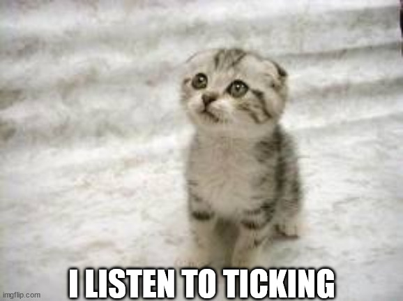 (note: the song by TIN) | I LISTEN TO TICKING | image tagged in memes,sad cat | made w/ Imgflip meme maker