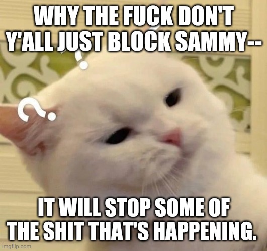 He is blocked already. So why did ya not do it already. | WHY THE FUCK DON'T Y'ALL JUST BLOCK SAMMY--; IT WILL STOP SOME OF THE SHIT THAT'S HAPPENING. | image tagged in cat confused | made w/ Imgflip meme maker