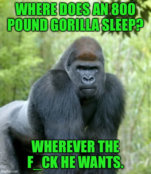 Big gorilla | WHERE DOES AN 800 POUND GORILLA SLEEP? WHEREVER THE F_CK HE WANTS. | image tagged in frowning gorilla,big,gorilla sleep,wherever,he wants | made w/ Imgflip meme maker