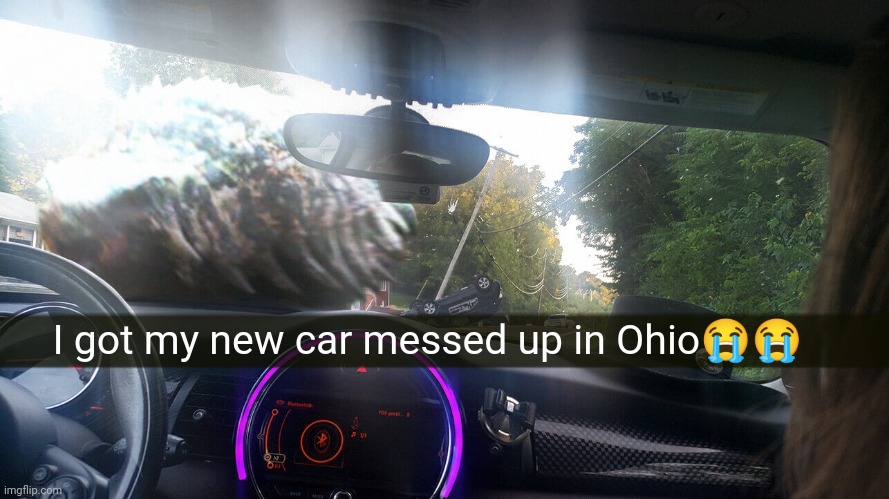 Im thinking of moving to Seattle | I got my new car messed up in Ohio😭😭 | image tagged in ohio,dinosaur | made w/ Imgflip meme maker