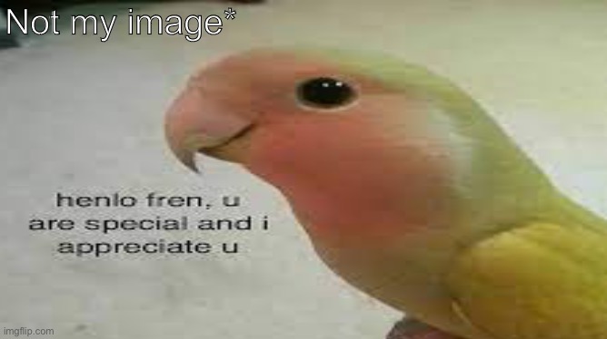 Birb sais henlo :) | Not my image* | image tagged in birb | made w/ Imgflip meme maker