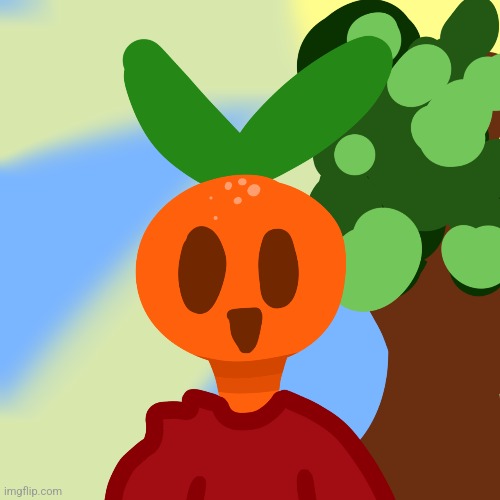 Tangerine(found footage) | made w/ Imgflip meme maker