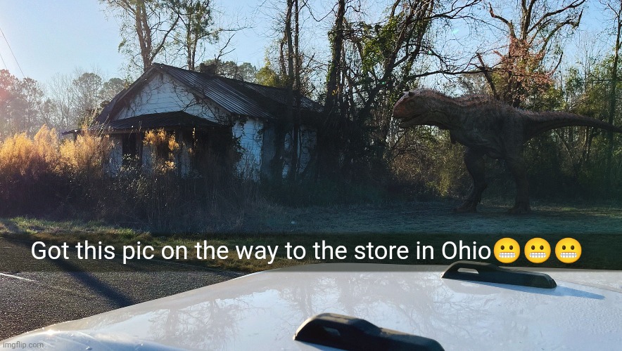 Yep im def moving | Got this pic on the way to the store in Ohio😬😬😬 | image tagged in ohio,dinosaur | made w/ Imgflip meme maker