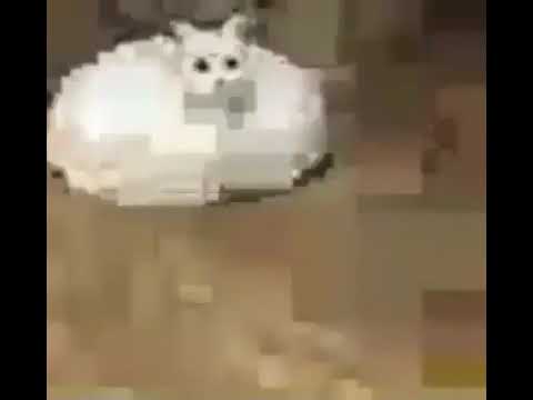 Low Quality Internet Cat Blank Meme Template