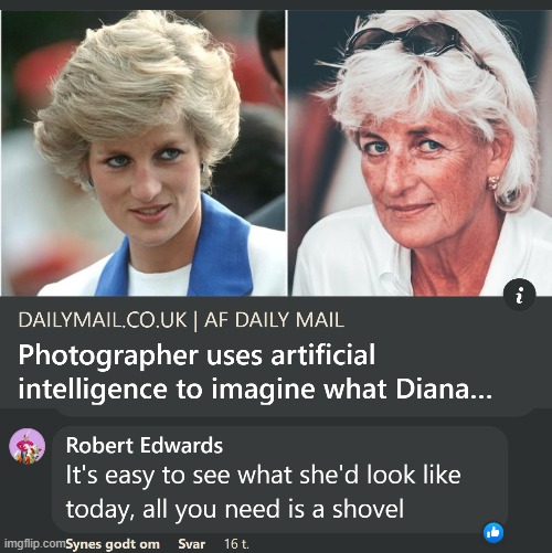 True | image tagged in nsfw,funny,comments,facebook comments,diana | made w/ Imgflip meme maker