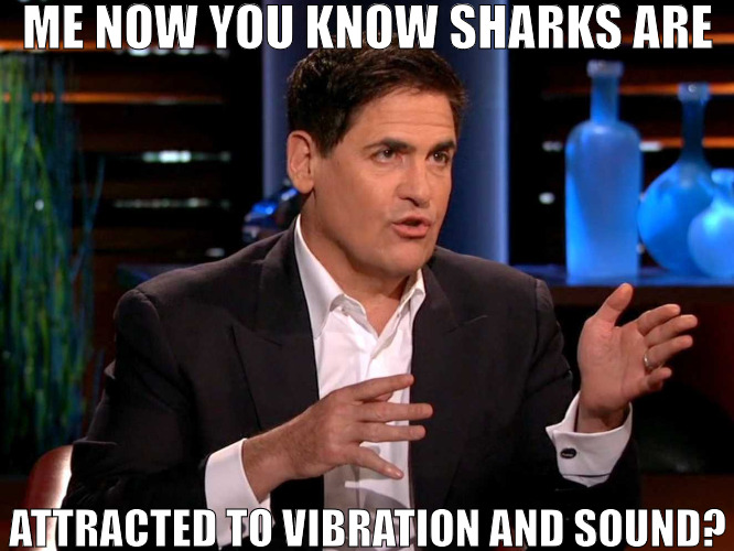 WE ARE ALWAYS HUNGRY AND LOOKING FOR A MEAL! | ME NOW YOU KNOW SHARKS ARE; ATTRACTED TO VIBRATION AND SOUND? | image tagged in shark tank,meme | made w/ Imgflip meme maker