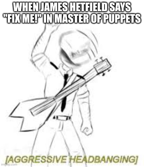 Read The Top Text On The Meme | WHEN JAMES HETFIELD SAYS "FIX ME!" IN MASTER OF PUPPETS | image tagged in fnaf intense headbanging | made w/ Imgflip meme maker